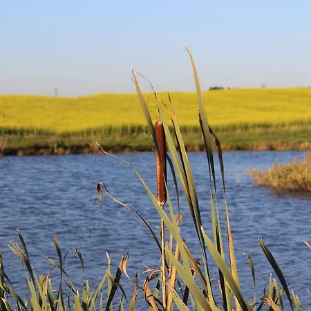 ファームステイ Agro Nad Stawem ジュコボ