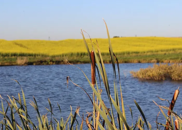 مزرعة للإقامة Agro Nad Stawem جوكوفو
