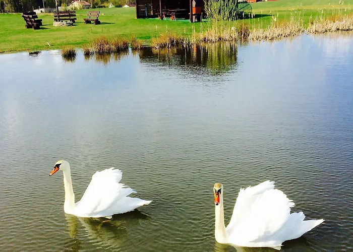 مزرعة للإقامة Agro Nad Stawem